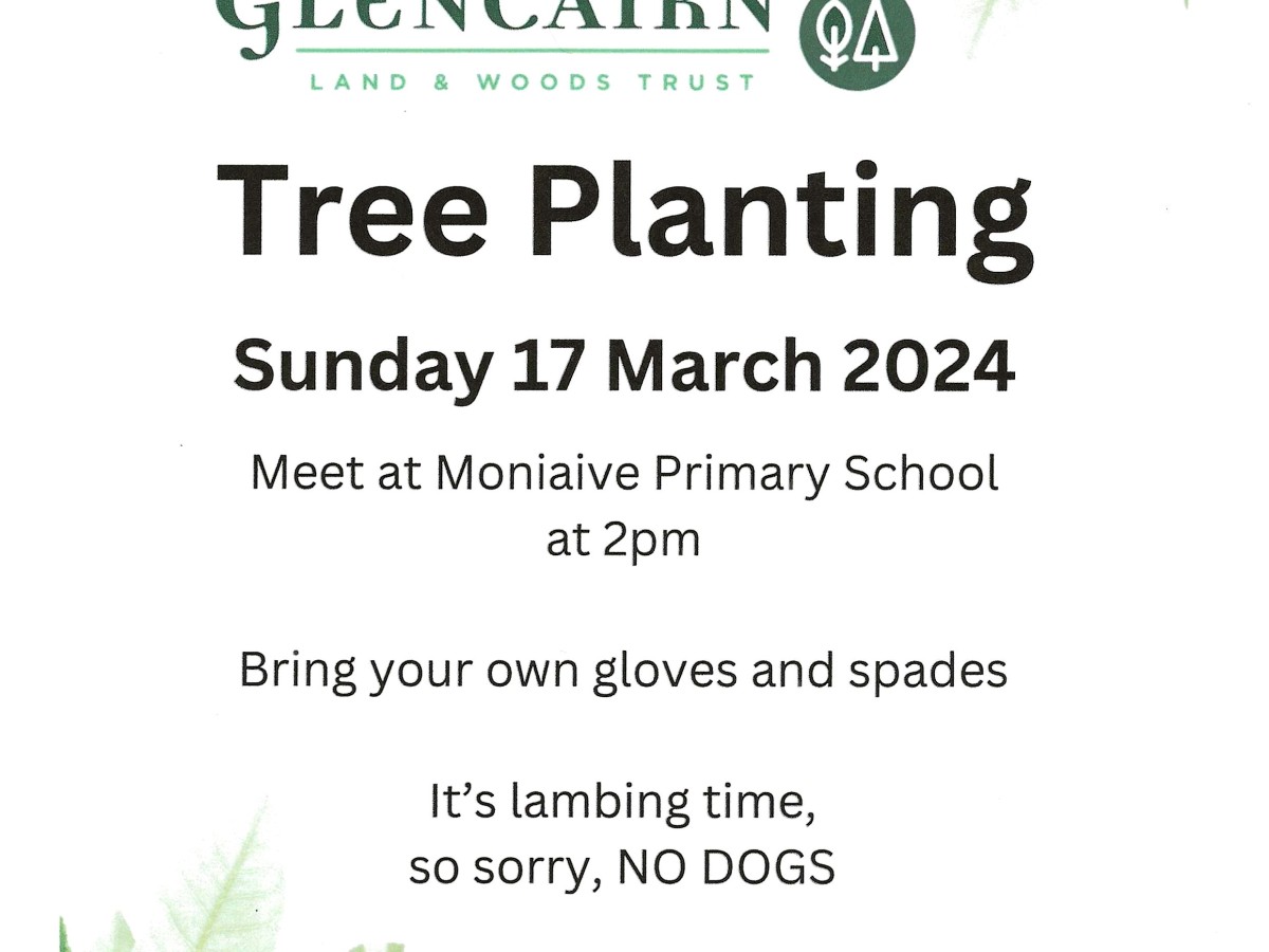 Tree Planting – Sunday 17th March 2024